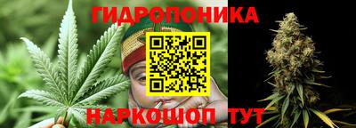 дурь Гудермес